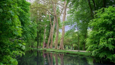 DSC00598